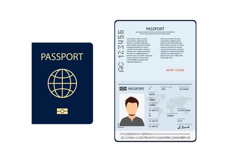 biometric passport documents in flat style, vector illustrationのイラスト素材