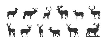 set of black deer silhouettes isolated on white background, vector illustrationのイラスト素材