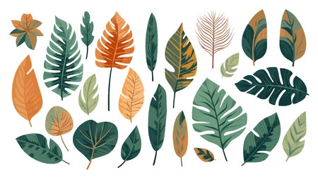 Set tropical leaves, flat cartoon isolated on white background. vector illustrationのイラスト素材