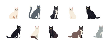 Set of flat illustration of cats isolated on white background, vector illustrationのイラスト素材