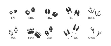 Animal tracks black set icon. Foot print of animal and bird. Vector isolated illustrationのイラスト素材