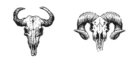 Goat skull hand drawn sketch on a white background. Vector illustrationのイラスト素材