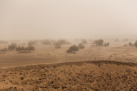 Landscape of the Sahara desert in Moroccoの写真素材