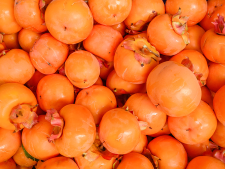 Persimmon harvest in Croatiaの写真素材
