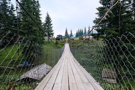 Suspended bridge in Dragobrat (Ukraine). Summer on the mountain of the famous ski area. Suspended bridge in the villageのeditorial素材