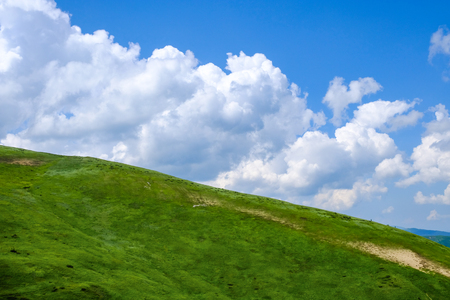 Mountain landscape in Dragobrat (Ukraine). Summer on the mountain of the famous ski area. After the ski tracks are used for cows.の写真素材