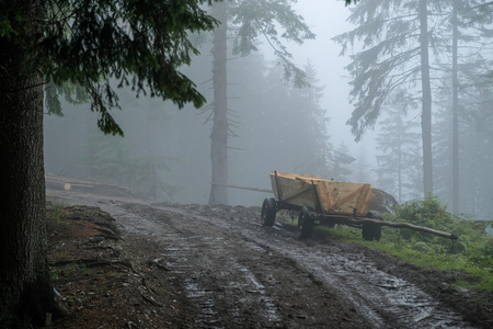 Forest in the fog in Dragobrat (Urkaine). During rainy days woods are inside the fog and atmosphere is like a fairy tale. A trolley in the wood waiting in the mud.の写真素材