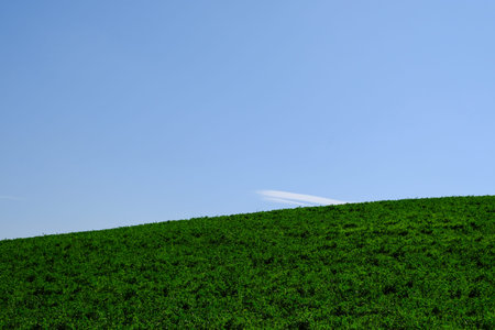 Minimalist countryside landscape in Tuscany, Italy.の写真素材