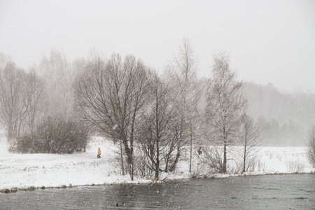 Pond in winter in with snow storm and trees.のeditorial素材