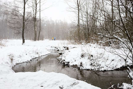 Woods in winter with snow in the park of Moscowのeditorial素材