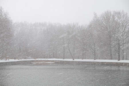 Pond in winter in with snow storm and trees.のeditorial素材