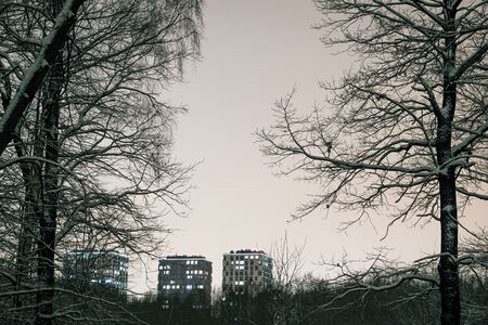 Night landscape in the park in Moscow with snow in winter.の写真素材
