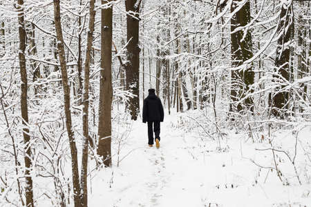 An old man walking in the wood during winter with the snowの写真素材
