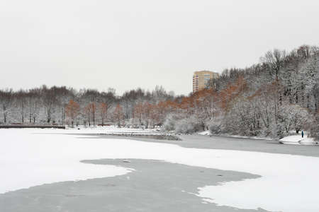 A frozen forest after a snowfall in winter on an iced pond. A yellow tall building on the backgroundの写真素材