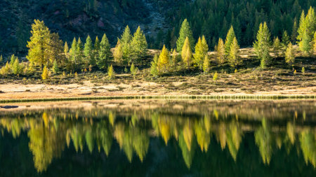 Autumn on the Alps in Italy, the landscape of the woods and mountains with colored foliage. Woods are reflecting in a mountain lakeの写真素材