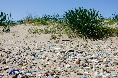 Dirty beach full of plastic, microplastic, bottles, straws and various garbage with plants in the background.の写真素材