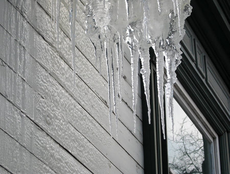 Icicles in winter