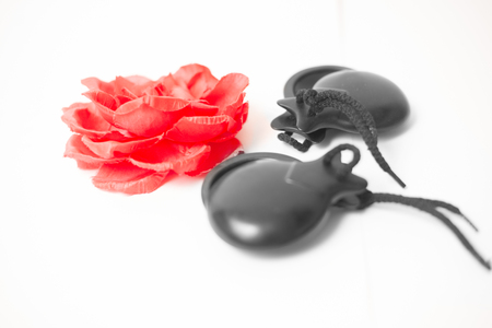 Castanets on white backgroundの写真素材