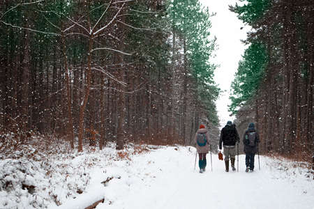 Three friends enjoying a walk in the wildernessの写真素材