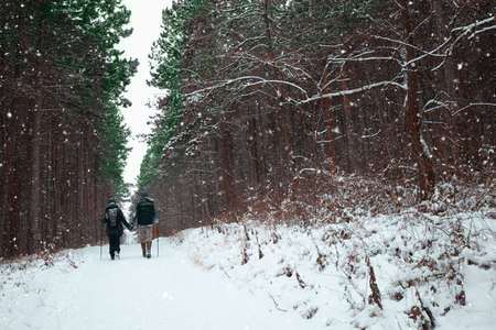 A couple holding hands walking on a beautiful winter dayの写真素材