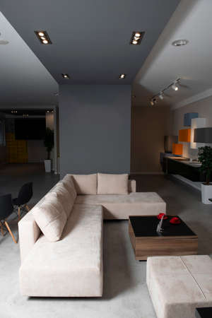Expensive living room, with a table and a sofaの写真素材