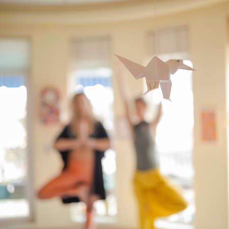 Origami bird symbolizing freedomの写真素材