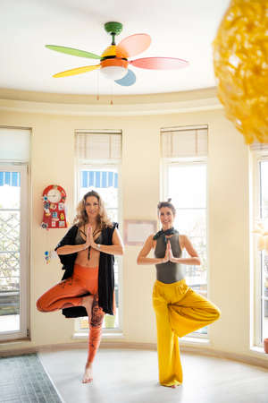 Two friends exercising yoga in a beautiful apartment in a tree positionの写真素材