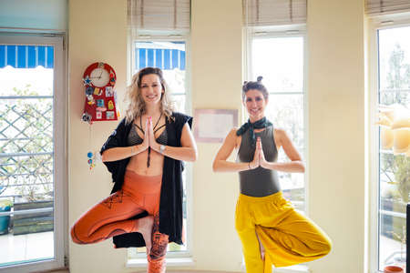 Two friends exercising yoga in a beautiful apartment in a tree positionの写真素材