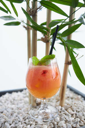 Delicious summer cocktail in a glassの写真素材
