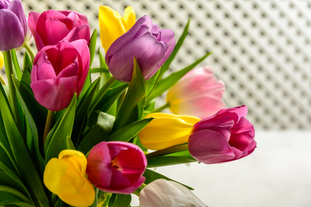 Beautiful festive bouquet of tulips on white backgroundの写真素材