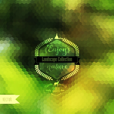 Vector blure background. Retro label design. Backdrop with hipster badge.  Retro label design. Hexagon. Laurel wreath label with calligraphy element. Soft abstract background. Natural Bokeh Backgroundのイラスト素材