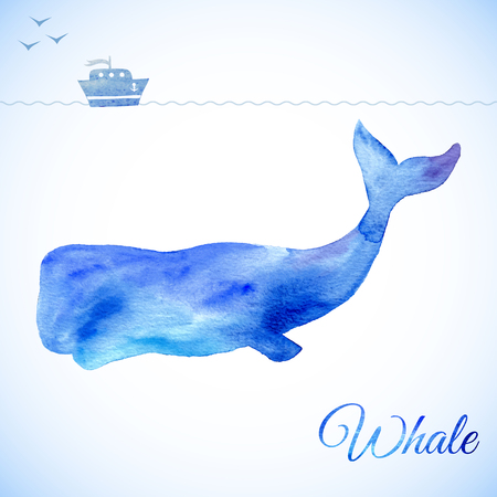 Blue Whale Illustration. Watercolor whale. Vector illustration of watercolor whaleのイラスト素材