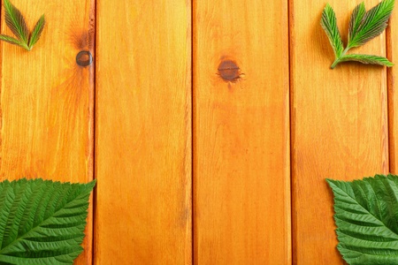 green leaves on the wooden table background. top viewの写真素材