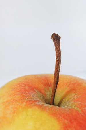 Red Apple. Apple on white background. Apple macro photography. Apple isolated on white background.の写真素材