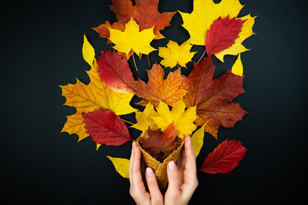 Creative autumn composition with female hands and autumn colorful leaves on a black background....