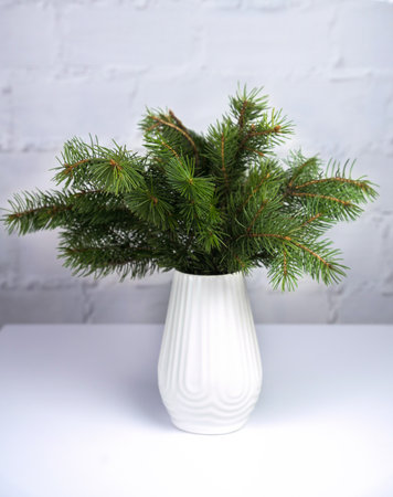 Christmas or New Year composition with fir branches in white vase on the table. Selective focus. Close-up.の写真素材