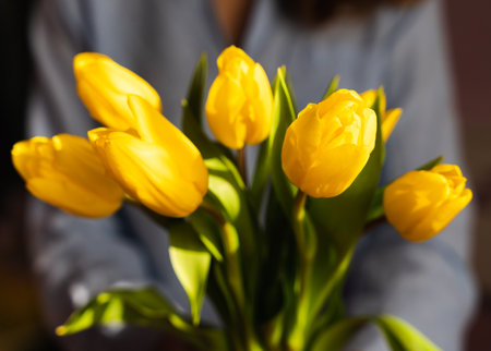 Woman's hands hold a bouquet of beautiful yellow tulips. Festive composition. Close-up. Selective focus.の写真素材