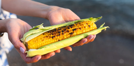 Female handing holds grilled corn on the beach. A natural and healthy snack. Close-up.