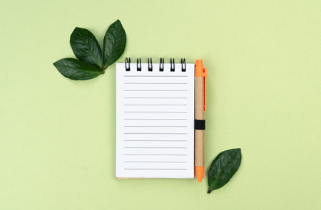 Empty notebook and pen made of eco friendly materials on a green background. Top view. Flatlay. Place for text.の写真素材