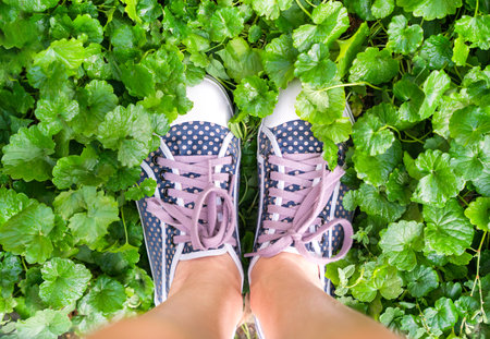 Female legs in polka dot sneakers on green grass. Top view. Copy space.の写真素材