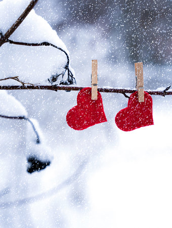 Two red hearts hanging on snowy branch. Love message for Valentine's day. Close-up. Selective focus.の写真素材