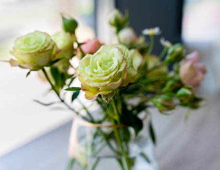 Closeup of green roses in a glass vase. Selective focus.の写真素材