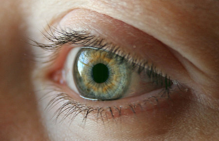 Green eye so beautifulの写真素材