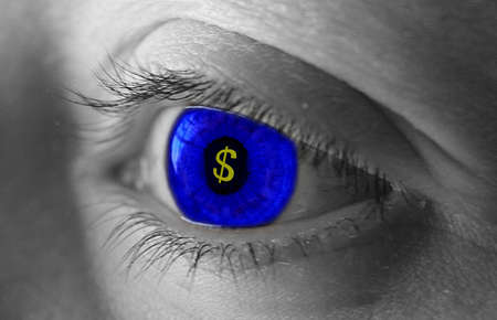 Blue eye with a money symbol in the middleの写真素材