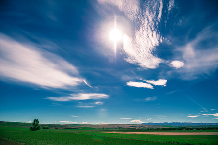 Ranfurly's grassland sceneryの写真素材