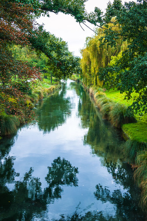 Scenic view of trees by the riverの写真素材
