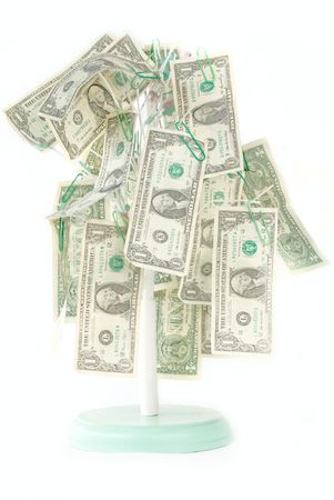 Isolated Money Growing on Tree. US One Dollar bills are hanging from its branches.の写真素材