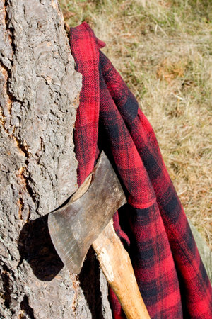 Double Bit Axe with Red Black Flannel Shirt. The shirt is hanging on a pine tree.