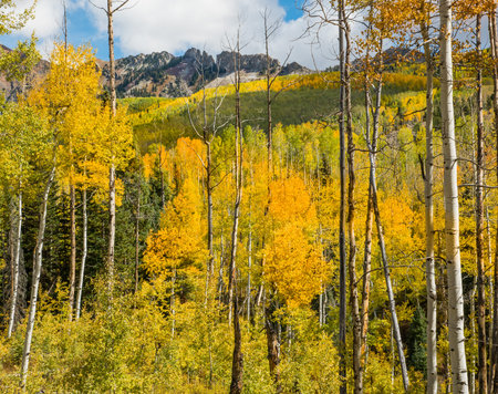 Kebler Pass Road, Coloradoの写真素材