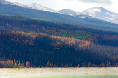 colors banff national park aberta canada british columbiaの写真素材